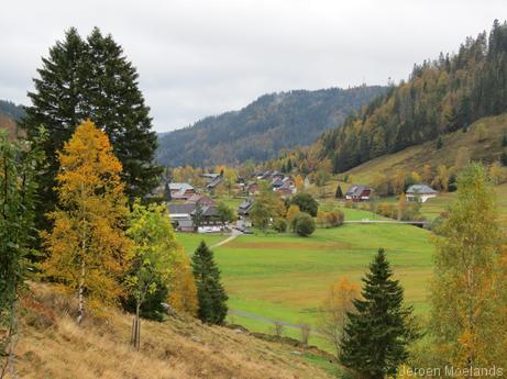 Uitzicht op Menzenschwand Hinterdorf - Blogout
