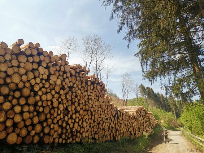 Het geurt naar hars bij grote houtstapels - Blogout