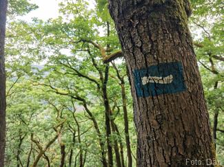 Markering van de Escapardenne trails - Blogout