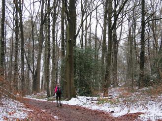 Sneeuwresten in het bos in de klim naar Kattenroth - Blogout