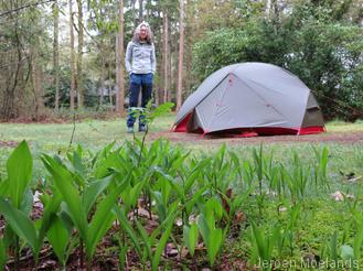 Onze bosplek op camping de Halm met lelietjes-van-dalen op de voorgrond - Blogout
