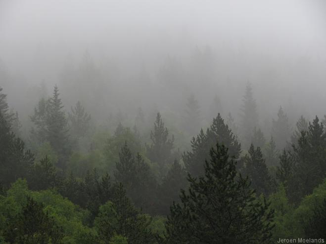 De wolken hangen laag, maar het is droog - Blogout