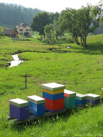 Bijenkasten in de omgeving van La Grenotte. - Blogout