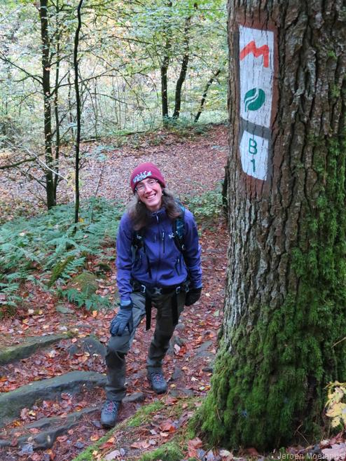 De markering van een *Extratour* van de Mullerthal Trail, een oranje *M*. - Blogout