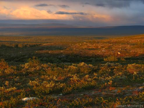 Herfstkleuren op de Finnmarksvidda. - Blogout