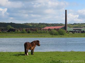 Pony aan de Nederrijn - Blogout