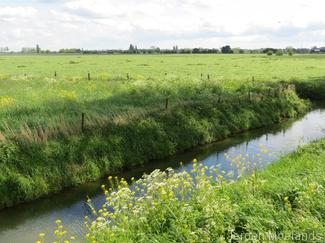 Landschap bij Valburg - Blogout