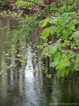 Waterpartij bij kasteel Hernen - Blogout