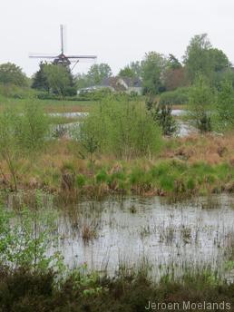 Hernense Molen aan de overzijde van het Hernense Ven - Blogout