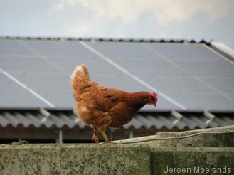 Plattelandsbeeld bezuiden Ravenstein - Blogout