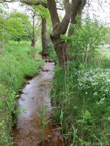 Water komt over stuwen naar beneden gekletterd - Blogout