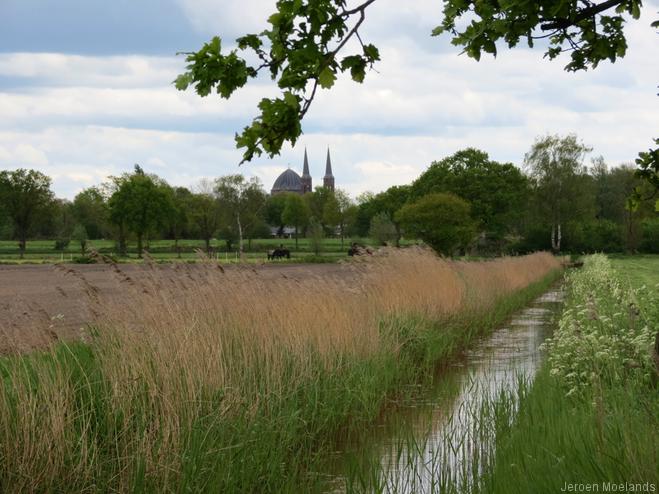 Platteland bij Uden met de Sint-Petruskerk aan de horizon - Blogout