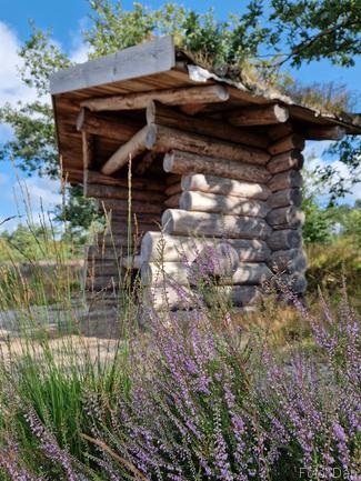 Open schuilhutje op de Holterberg - Blogout