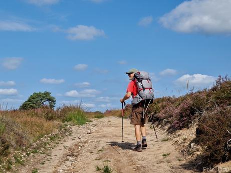 Op de Grote Koningsbelt - Blogout