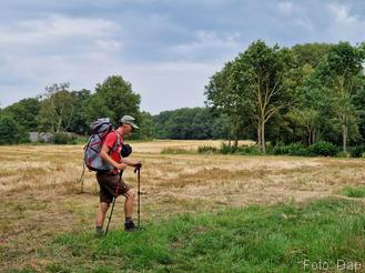 We volgen paden tussen en over grasland - Blogout