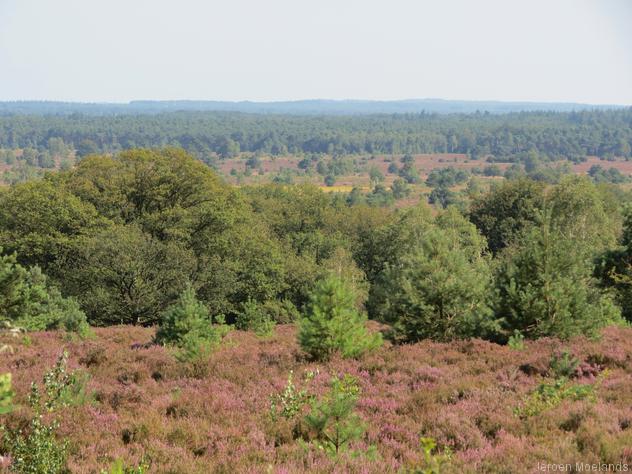 Uitzicht vanaf de Noetselerberg - Blogout