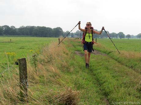 Tussen weilanden door - Blogout