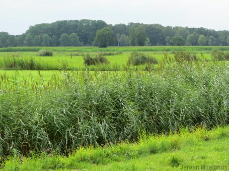 Platteland bij Lemele - Blogout