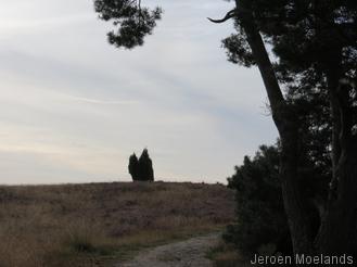 Bijna op de top van de Lemelerberg - Blogout