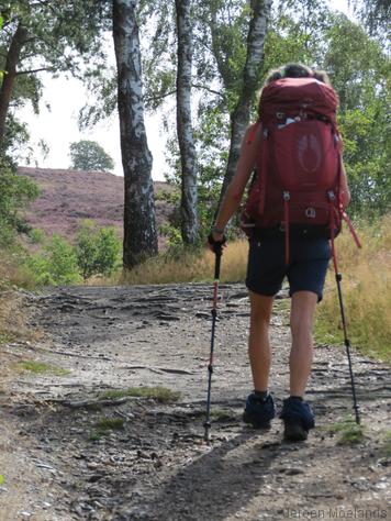 Op weg naar de Archemmerberg - Blogout