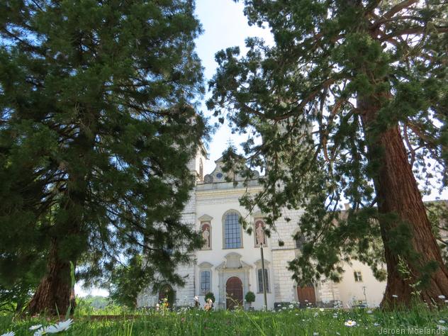 Klosterkirche achter mammoetbomen - Blogout