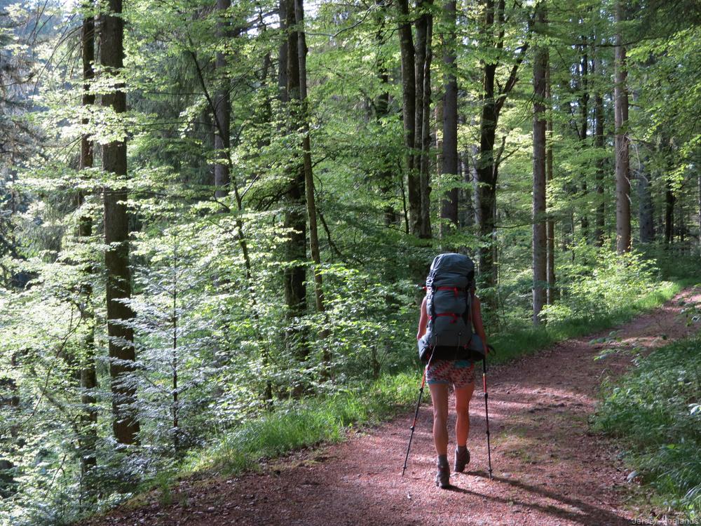 Op weg naar het Trekking-Camp - Blogout