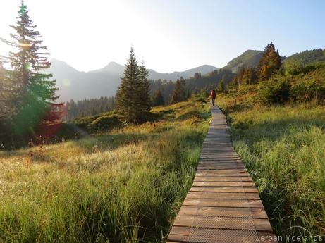 We doorkruisen een zompig gebied op weg naar de Col de Bassachaux - Blogout