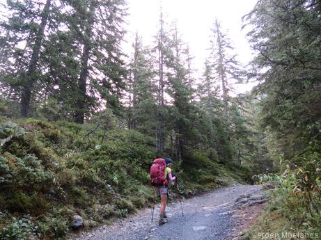 Klim door het sparrenbos ten zuiden van les Contamines  - Blogout